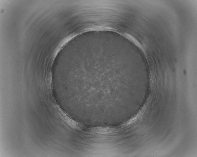 X0000076300831200609291033