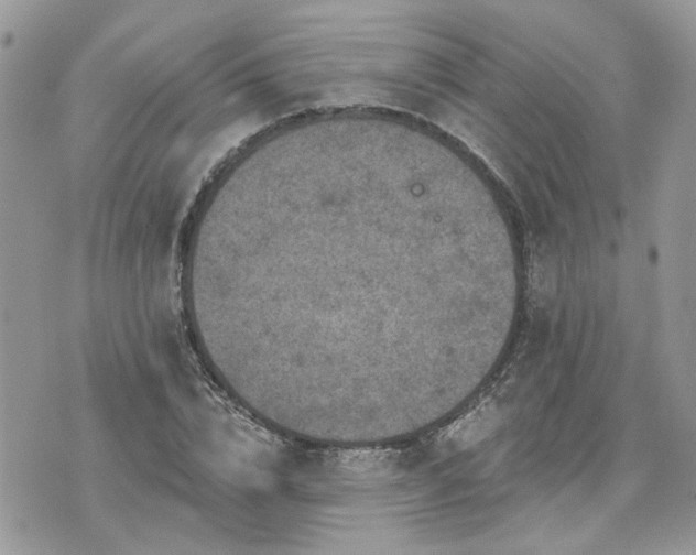 X0000076300832200609291033