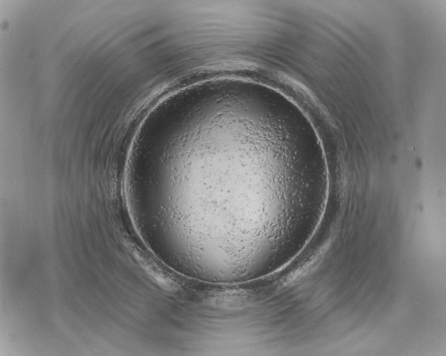 X0000076300833200609291033