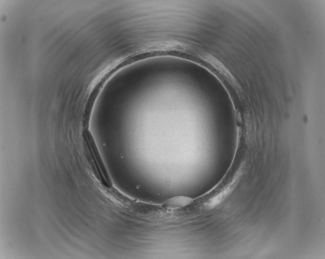 X0000076300834200609291033