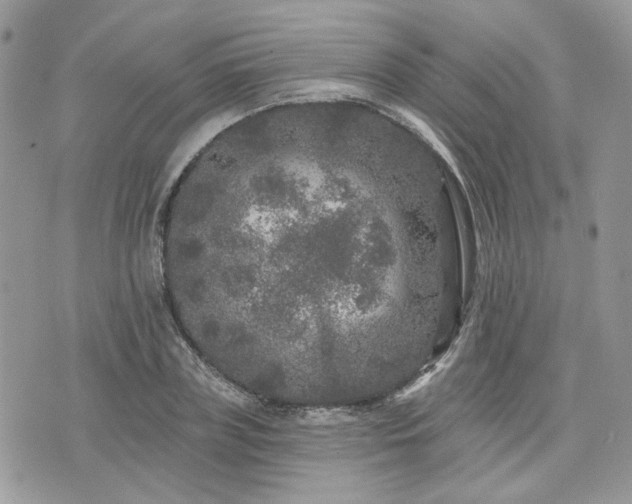 X0000076300835200609291033