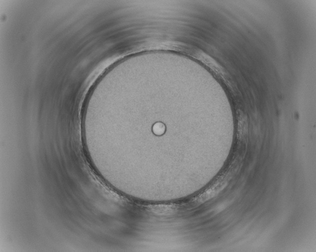 X0000076300836200609291033