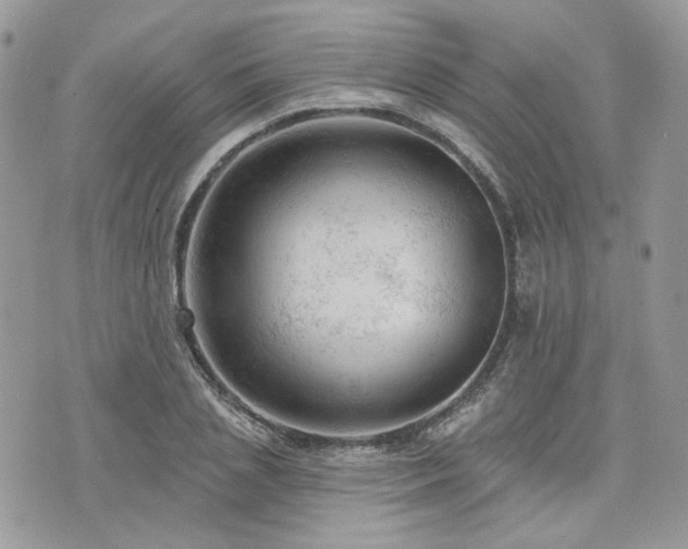 X0000076300837200609291033