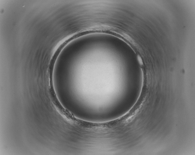 X0000076300838200609291033