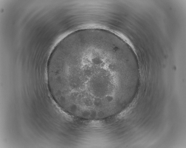 X0000076300839200609291033