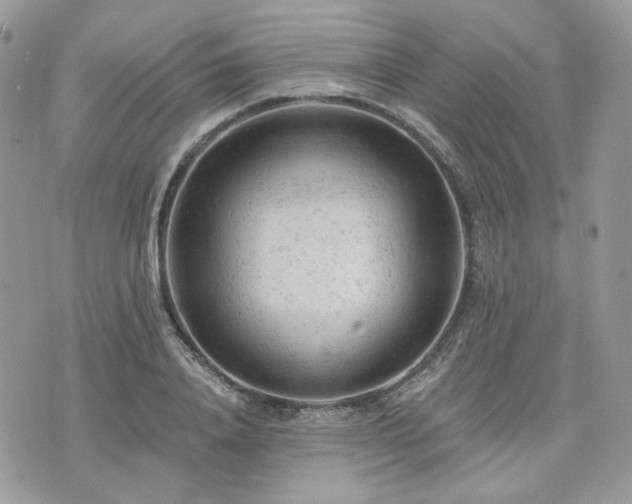 X0000076300840200609291033