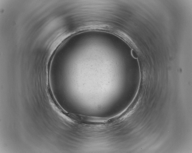 X0000076300844200609291033