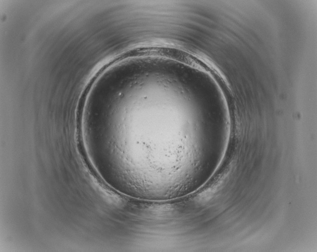 X0000076300845200609291033