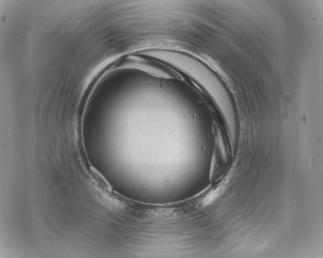 X0000076300846200609291034