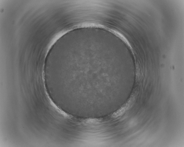 X0000076300847200609291034