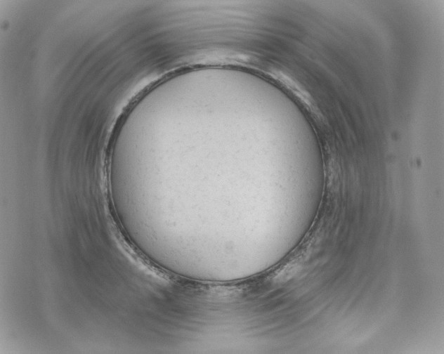 X0000076300848200609291034