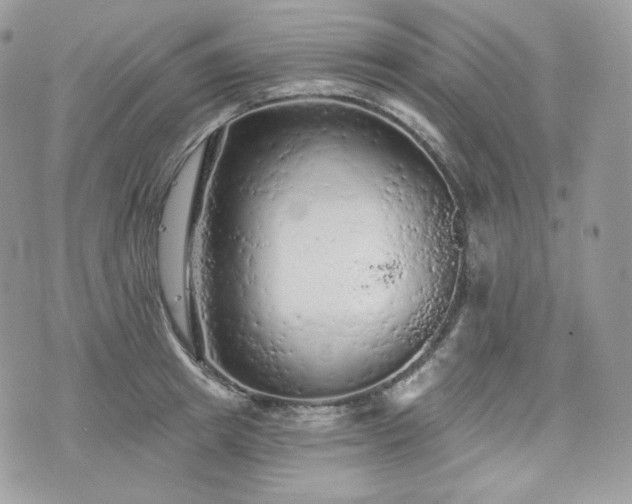 X0000076300849200609291034