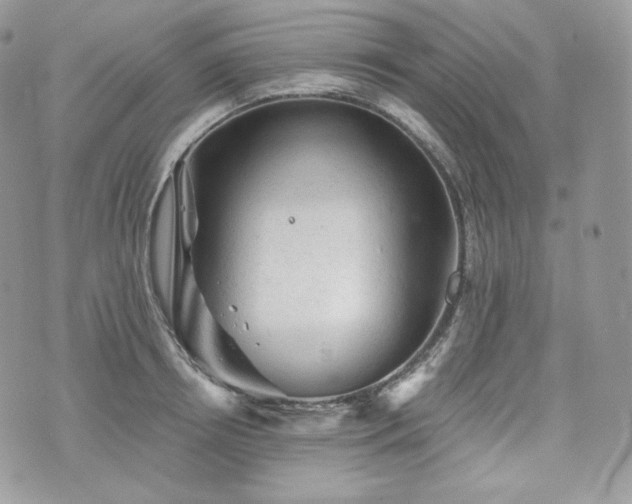 X0000076300850200609291034