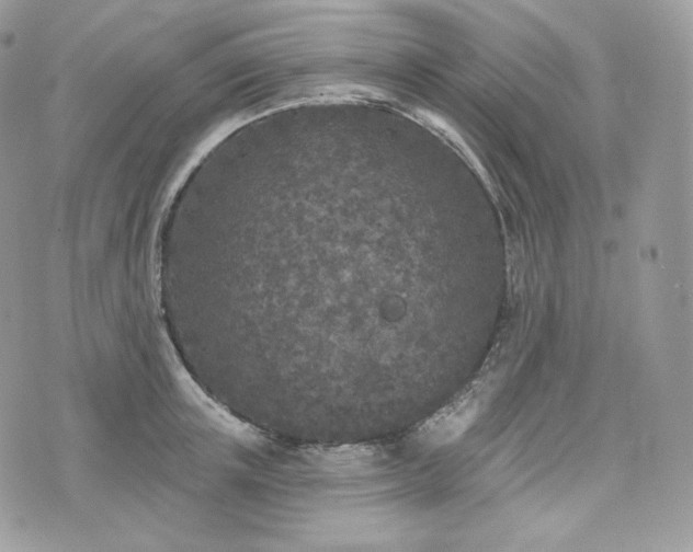 X0000076300851200609291034