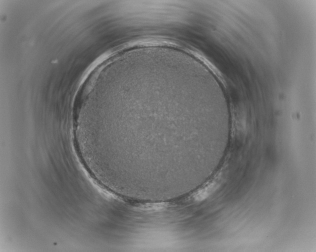 X0000076300853200609291034