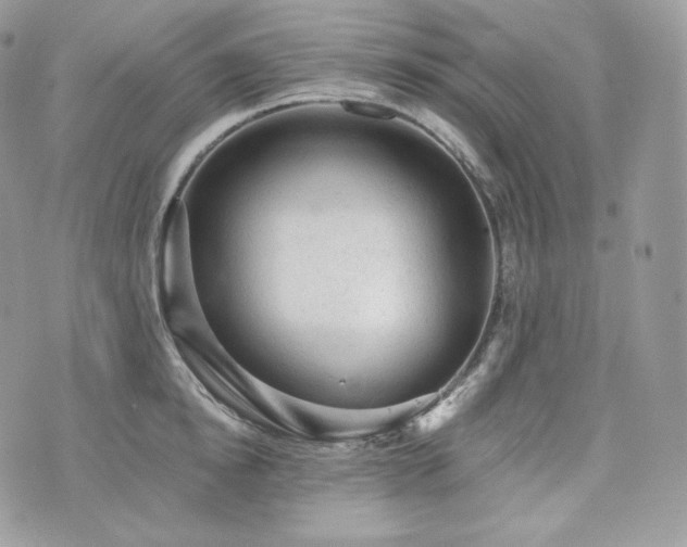 X0000076300854200609291034