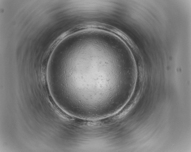 X0000076300857200609291034