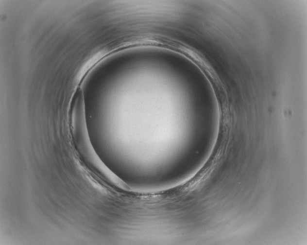 X0000076300858200609291034