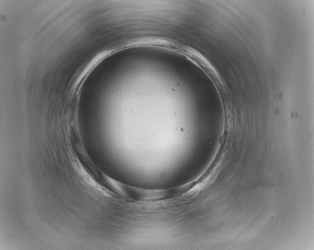 X0000076300860200609291034