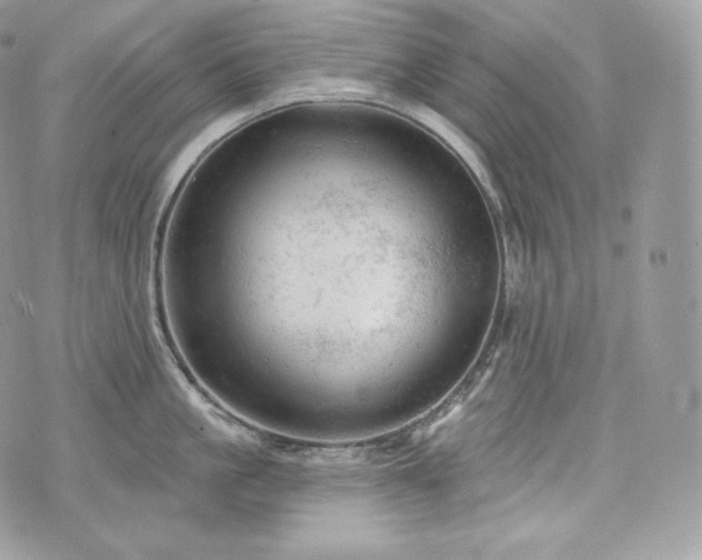 X0000076300861200609291034