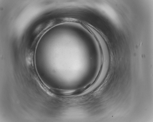 X0000076300862200609291034