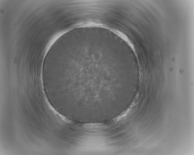 X0000076300863200609291034