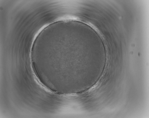 X0000076300864200609291034