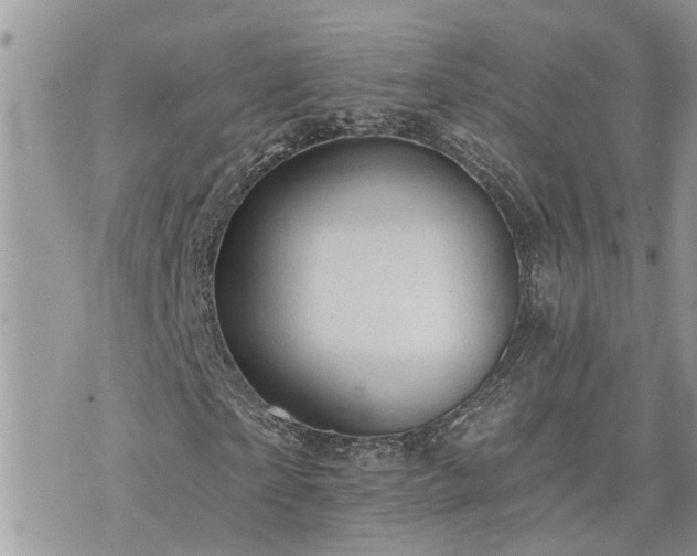 X0000076300865200609291033