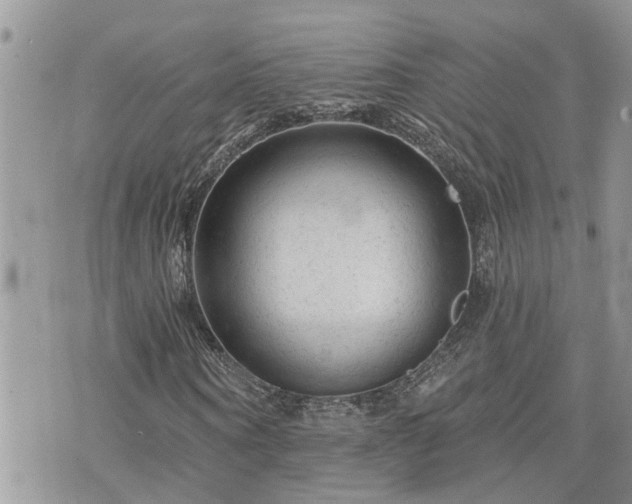 X0000076300866200609291033