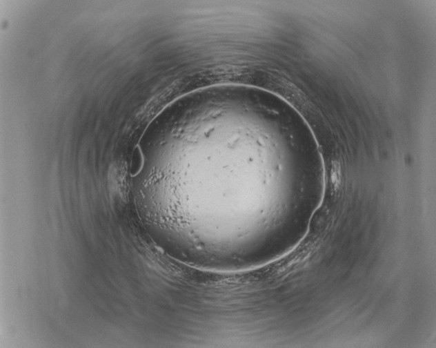 X0000076300867200609291033