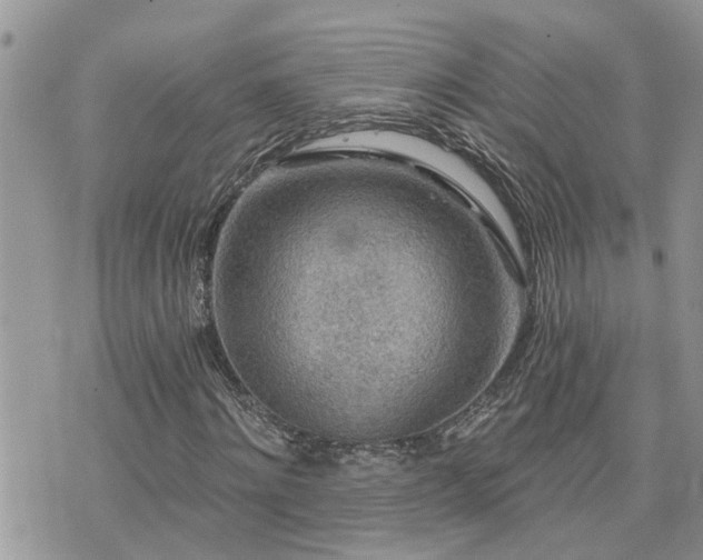 X0000076300868200609291033