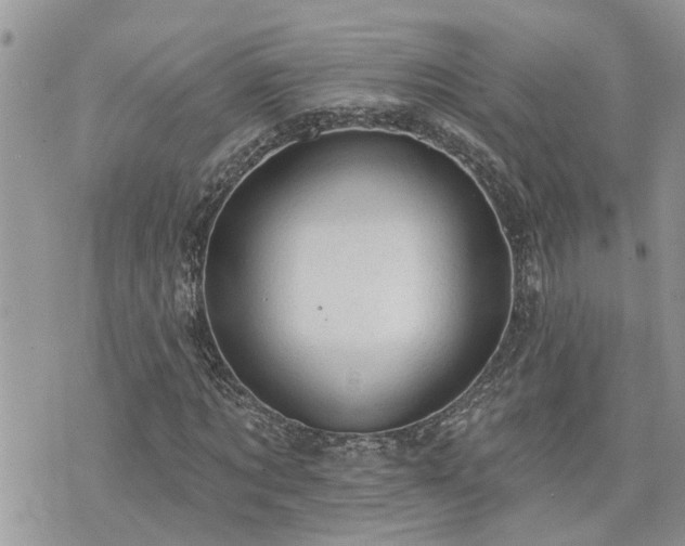 X0000076300869200609291033