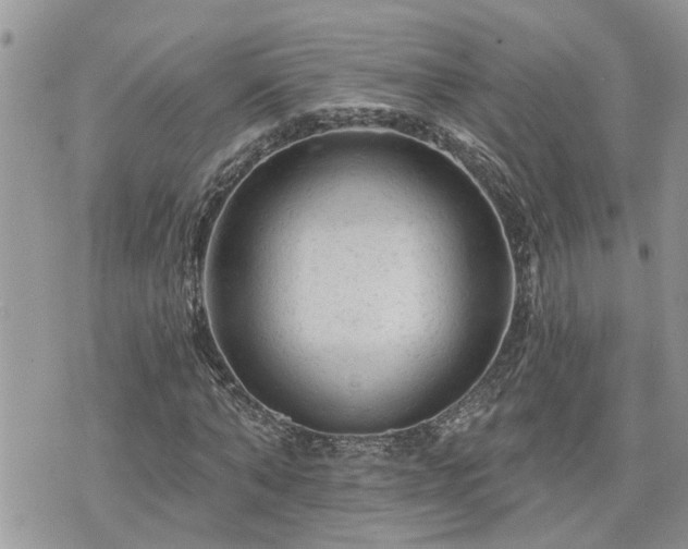 X0000076300870200609291033