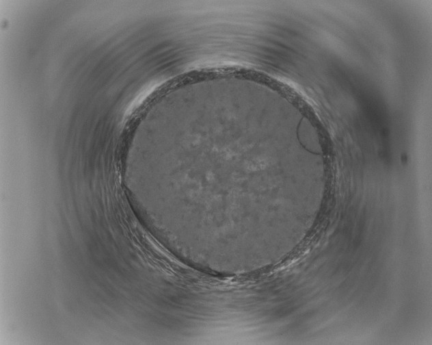 X0000076300871200609291033