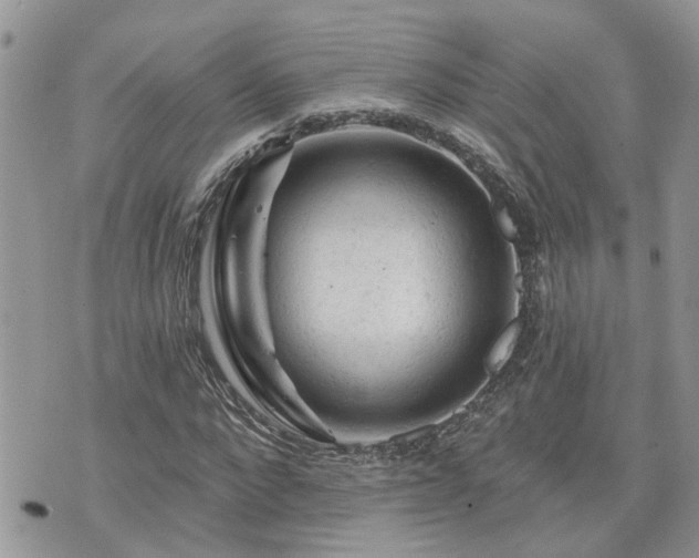 X0000076300872200609291033