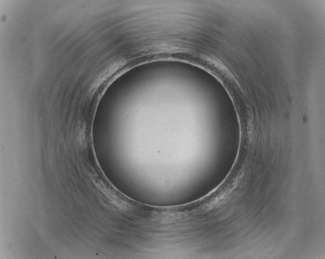 X0000076300873200609291033