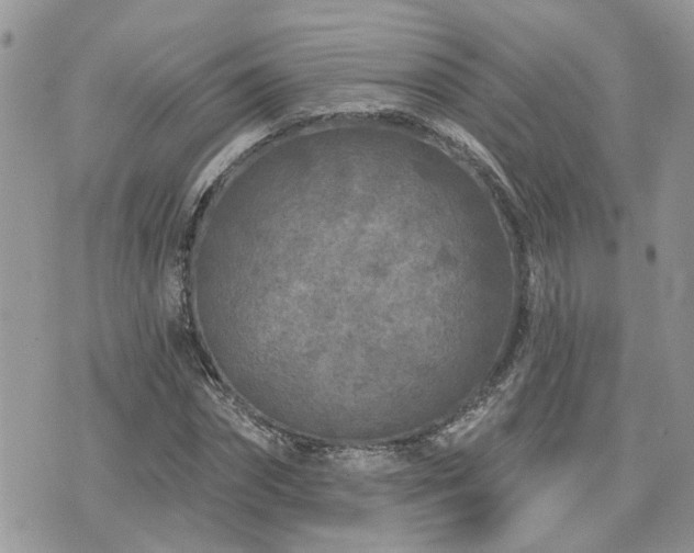 X0000076300874200609291033