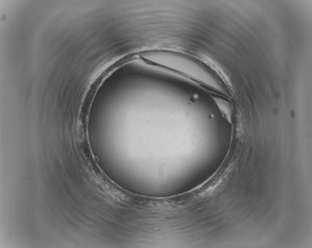 X0000076300876200609291033