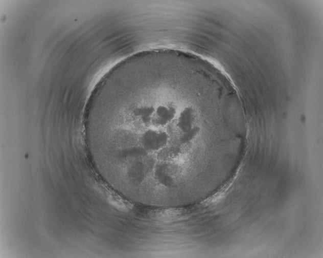 X0000076300879200609291033