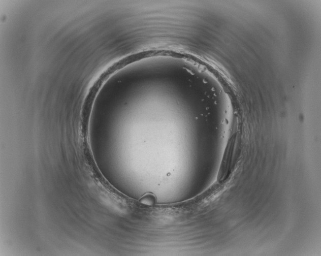 X0000076300880200609291033