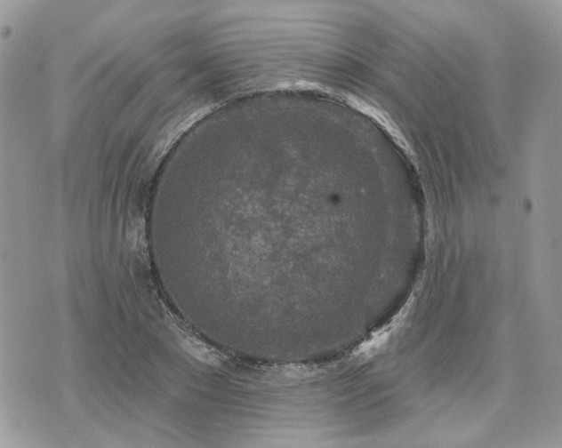 X0000076300881200609291033