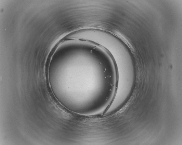 X0000076300884200609291033