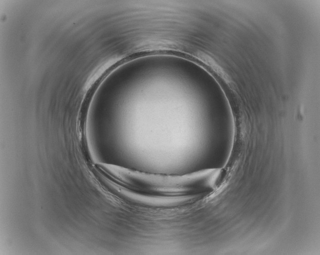 X0000076300885200609291033