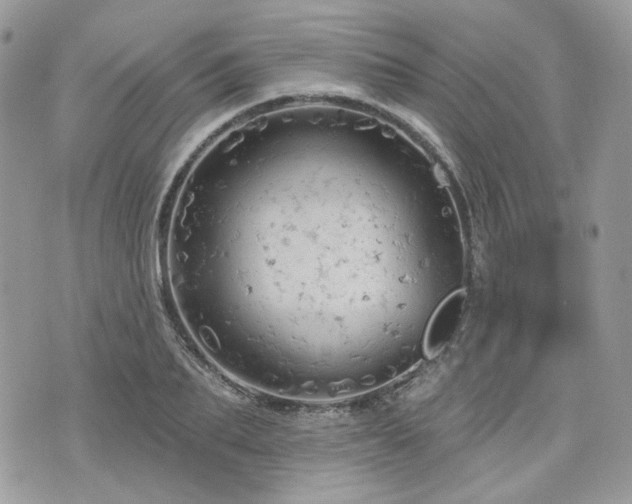 X0000076300887200609291033