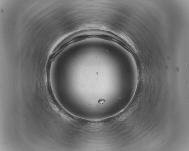 X0000076300888200609291033