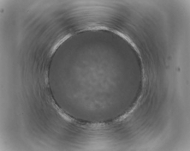 X0000076300889200609291033