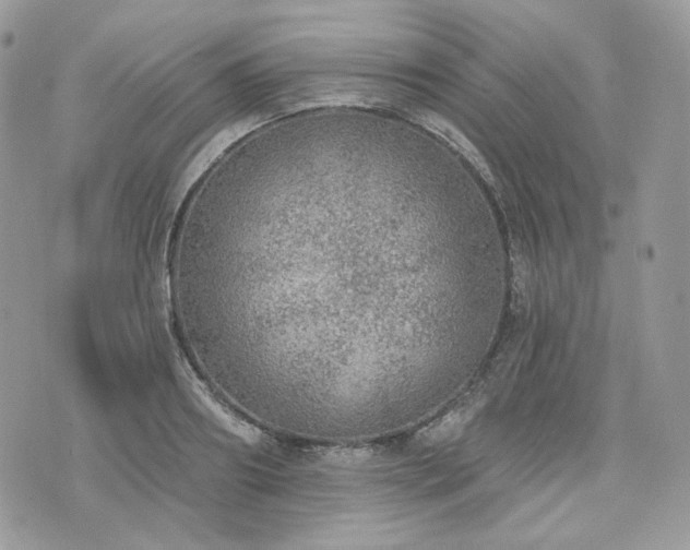 X0000076300890200609291033