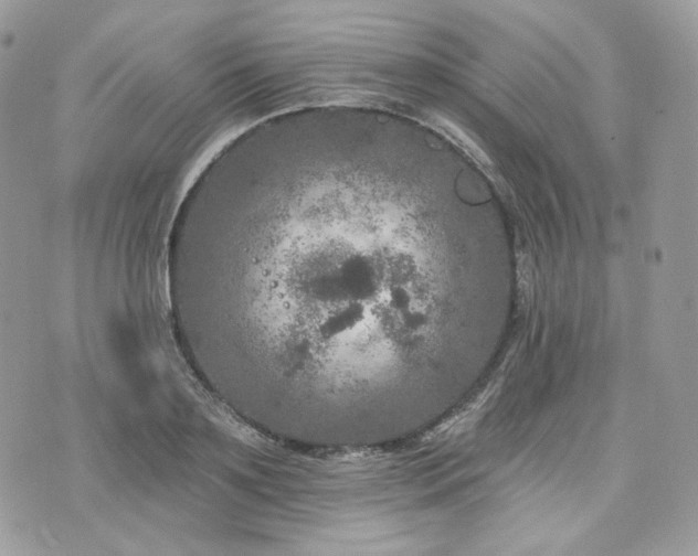 X0000076300891200609291033