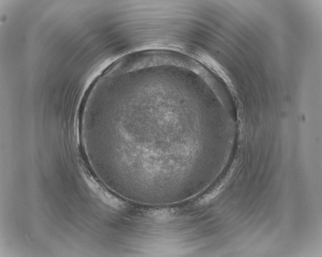 X0000076300892200609291033