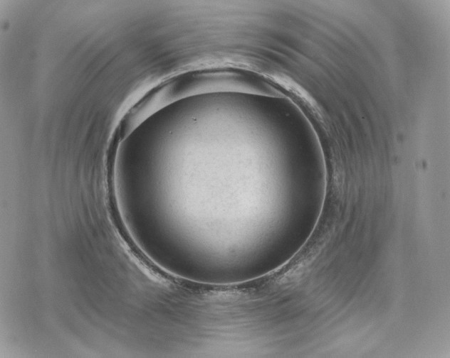 X0000076300894200609291033